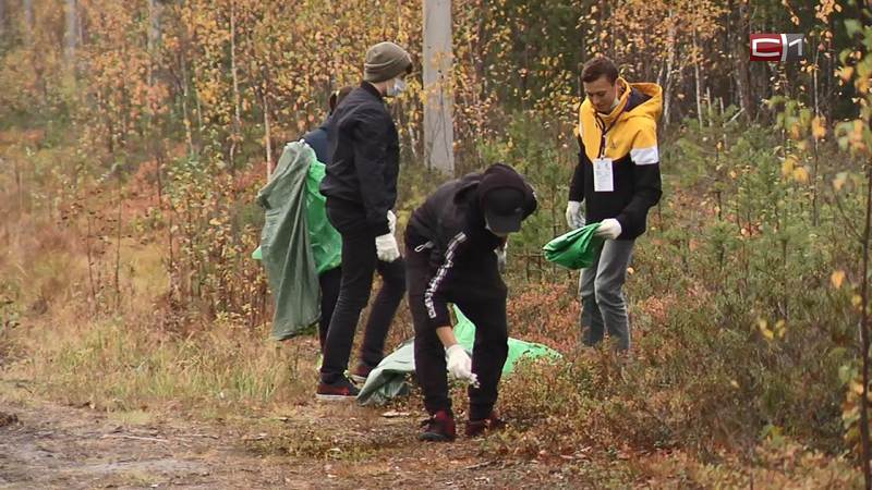 Как в Сургуте прошли соревнования по уборке мусора