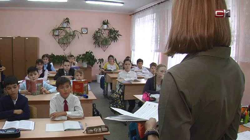 Как в Сургуте поддерживают молодых учителей