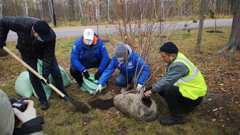 В Единый день посадки деревьев Сургут украсили 200 саженцев. ФОТО
