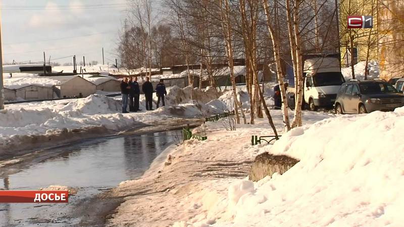 В поселении Сургутского района выбрали нового подрядчика для уборки снега