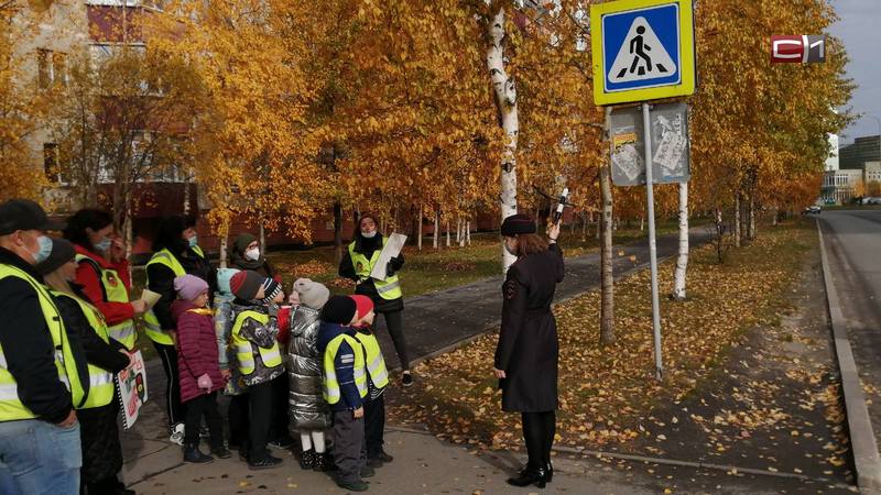 ГИБДД Сургута: юные пешеходы забыли о правилах дорожного движения