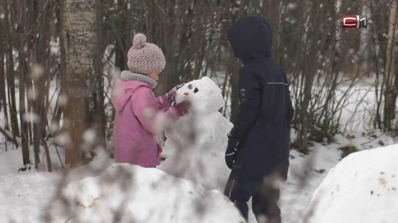 Сургутяне в парке «За Cаймой» создали аллею снеговиков