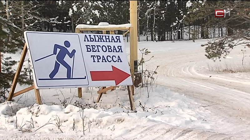 Как в этом году будут работать общественные лыжные трассы в Сургуте