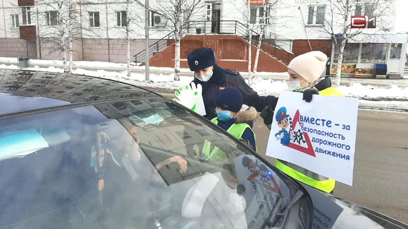 Соблюдая правила, сохранишь жизнь — ГИБДД Сургута обратилась к водителям