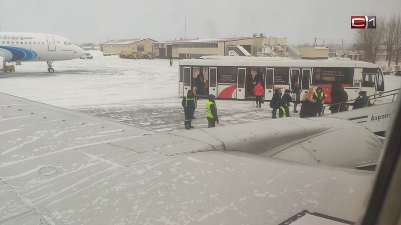 Самолет Сургут — Краснодар экстренно сел в аэропорту Рощино