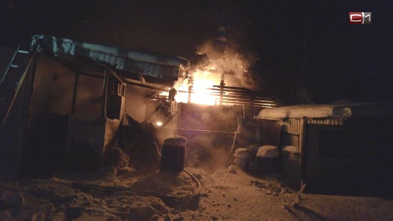 СК начал проверку по факту гибели двух человек при пожаре в Сургуте