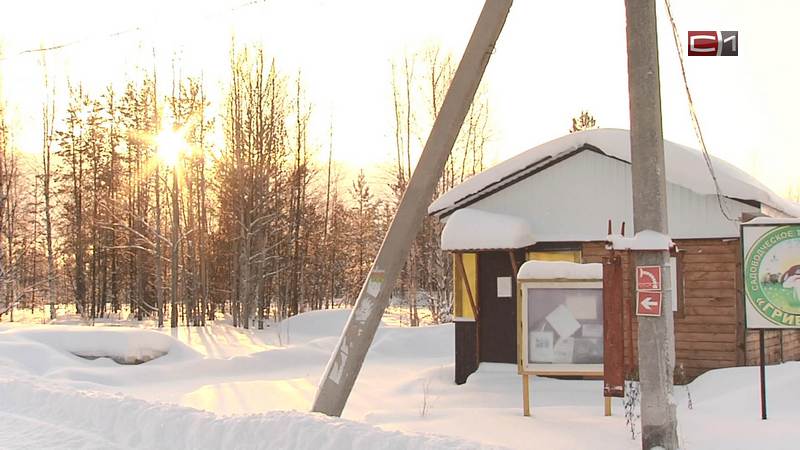 Зима без перебоев: как дачные кооперативы Сургута решают проблему со светом