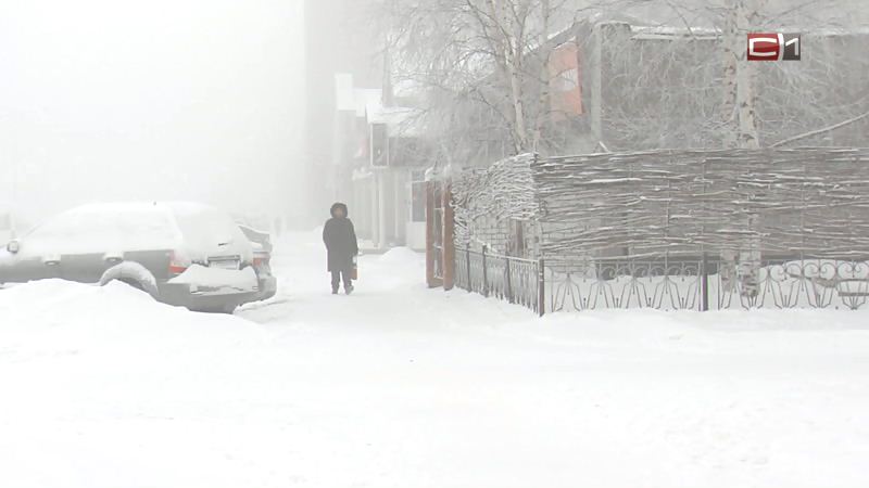 Сидим дома: 14 февраля в Сургуте ожидаются метель и порывистый ветер