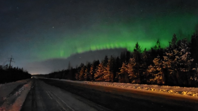 Ночное небо в зеленых красках: северное сияние над Югрой. ФОТО