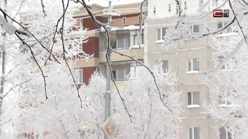 «Мужская» погода: самые крепкие морозы ударят в Югре 23 февраля