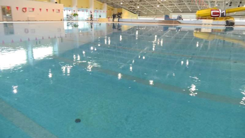 Плавание будет «сухим»: в школах и детсадах Сургута закрывают бассейны