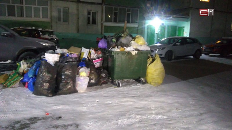 Жители Сургута пожаловались губернатору на мусорные контейнеры под их окнами
