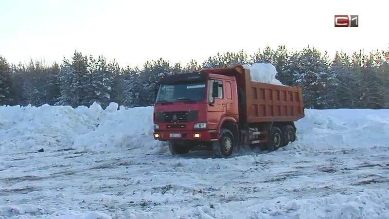 Сургутяне сообщили губернатору Югры о незаконном вывозе снега на Заячий остров
