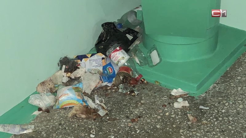 Почему в Сургуте не прижился принцип раздельного сбора мусора