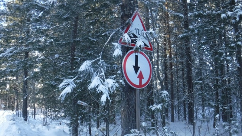 Природнадзор Югры борется с незаконным креплением дорожных знаков к деревьям