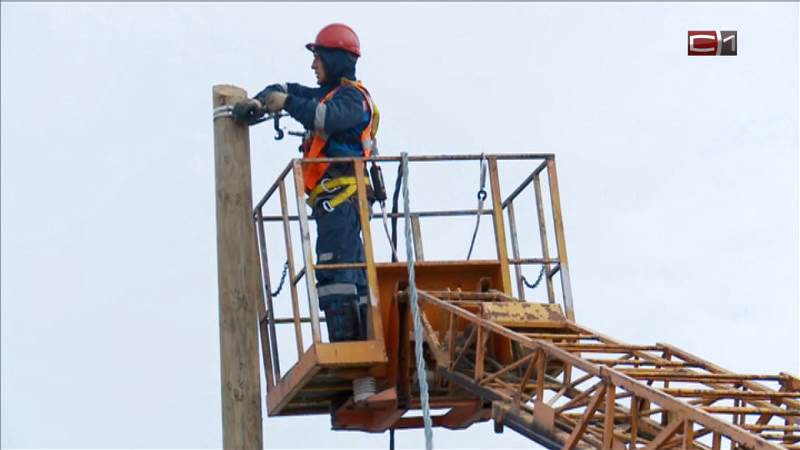 Дачные кооперативы Сургута ждет масштабная модернизация электросетей