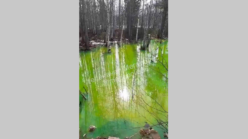 В Нижневартовске обнаружили кислотно-зеленое озеро. ВИДЕО