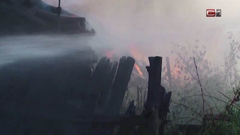 В Тюменской области из-за угрозы пожаров введен запрет на посещение лесов