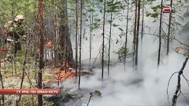 Лесные пожары начались в Югре. Накануне полыхало близ Ханты-Мансийска