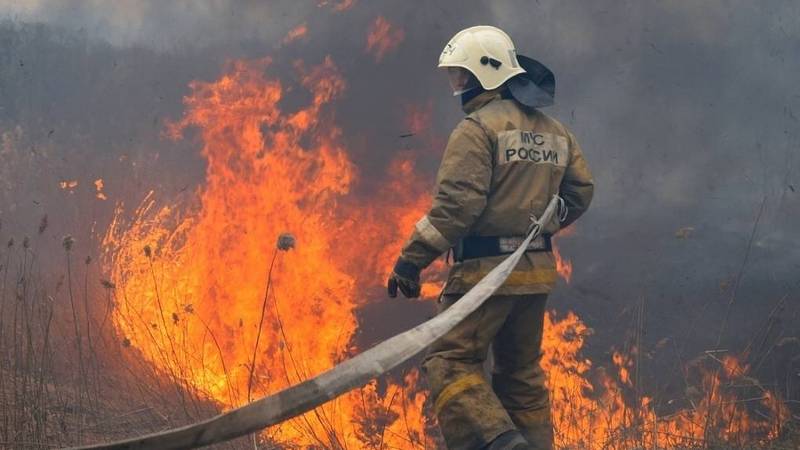 Площадь лесных пожаров в Тюменской области выросла в 187 раз за две недели