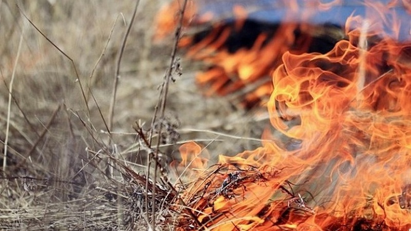 Ни прогулок, ни шашлыков: в 8 городах Югры ввели особый противопожарный режим