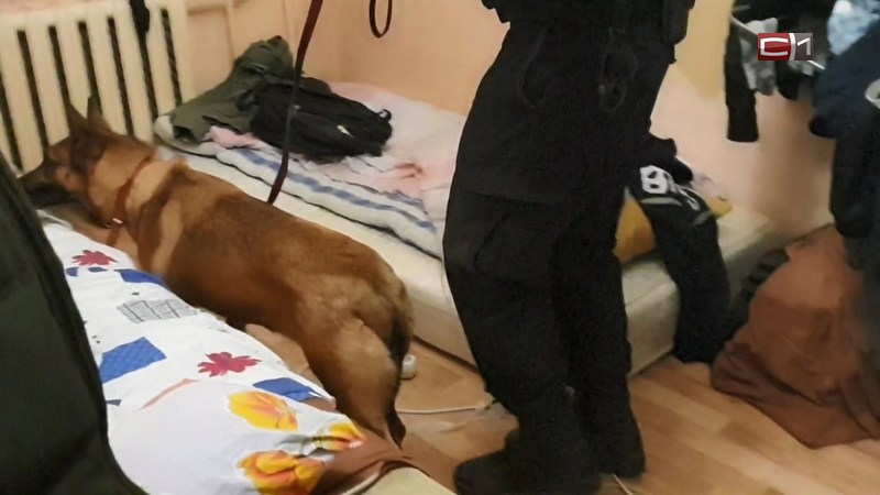 Служебная собака помогла полиции Сургута обнаружить тайники с наркотиками