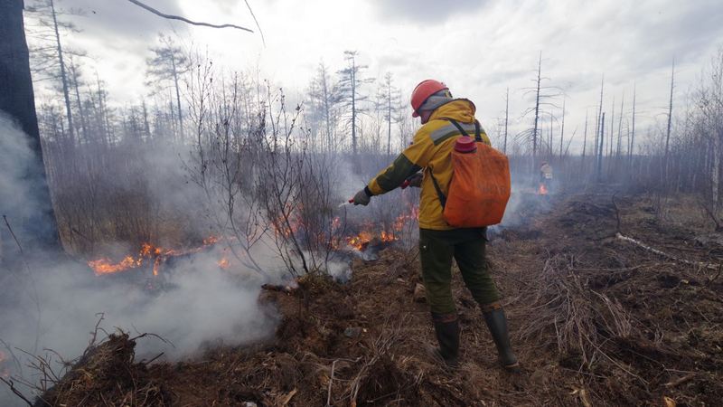 Земля в огне. В Тюменской области бушуют самые большие по площади лесные пожары