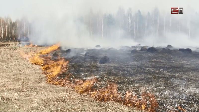 В Тюменской области введен режим ЧС, в Югре пока пожаров нет