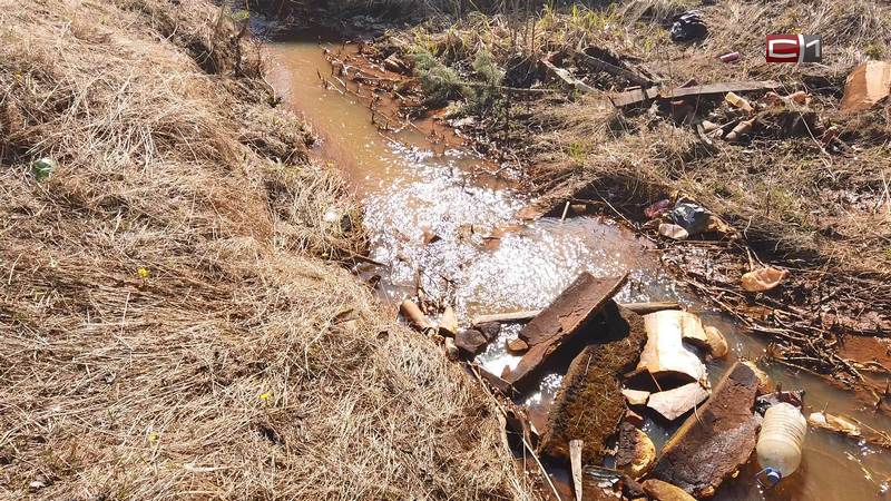 Свалка своими руками: белоярцы намеренно загрязняют ручей
