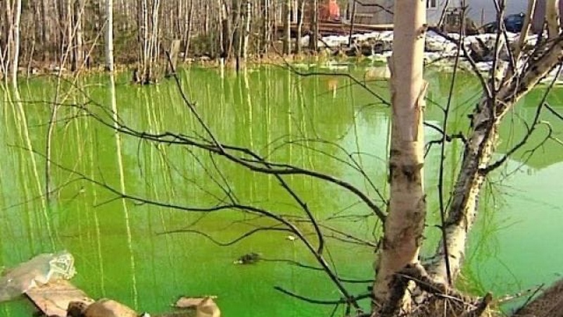 Виновата химия: в Нижневартовске раскрыли тайну кислотно-зеленого озера