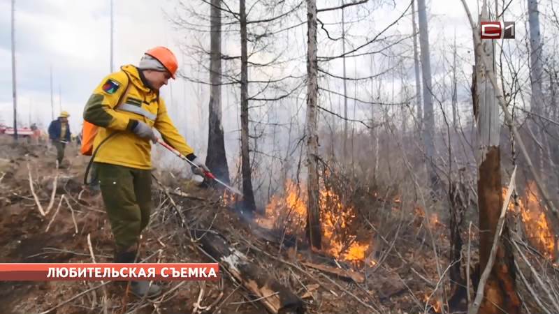 В Тюменской области продолжают бушевать лесные пожары