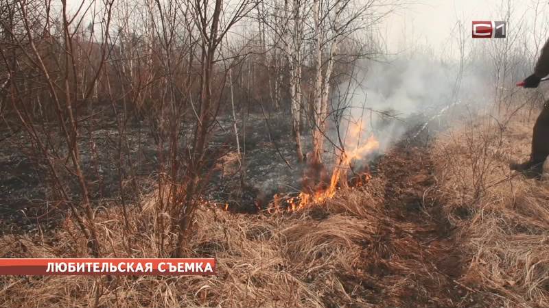 Как в Югре обстоит ситуация с лесными пожарами