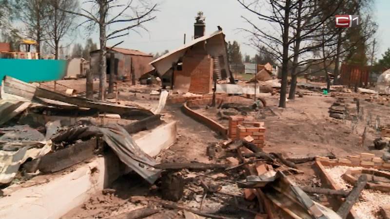В Тюменской области лесной пожар перекинулся на дачный поселок