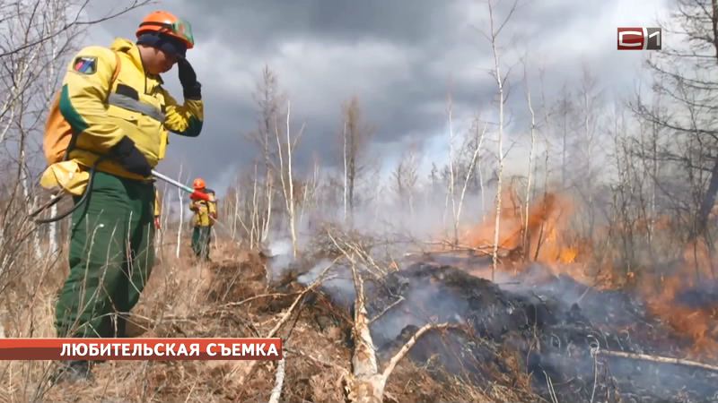 Огонь продолжает уничтожать леса Тюменской области