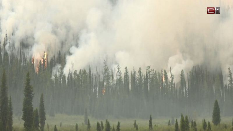 Грозы стали причиной лесных пожаров в Югре