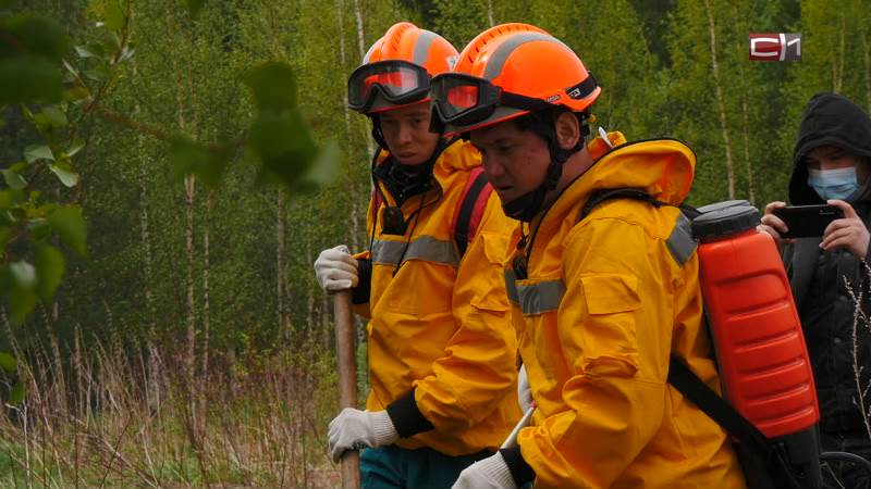Какие поселения Сургутского района находятся в зоне риска из-за лесных пожаров
