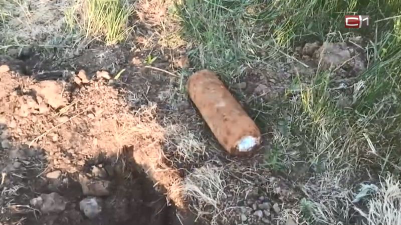 Житель тюменского поселка нашел артиллерийский снаряд на берегу реки