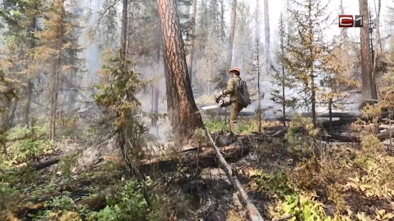 Причиной трети всех лесных пожаров в Югре стали действия человека