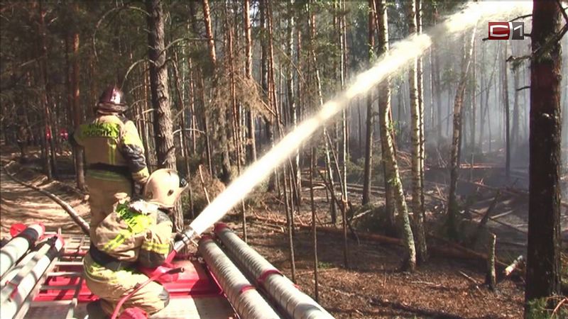 Борьба продолжается: на территории 4 районов Югры действуют лесные пожары