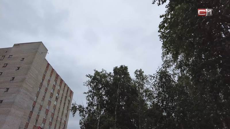 В Сургуте и районе ожидается непогода — надвигается гроза с ливнем