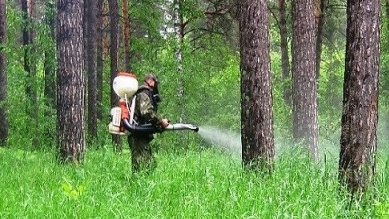 Горожане могут предложить, какие места в Сургуте избавить от комаров