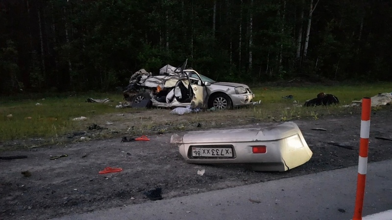 Автомобиль столкнулся с лосем