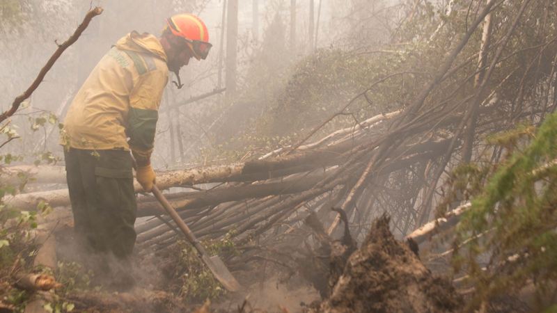 За сутки в Тюменской области зафиксировано 12 новых лесных пожаров