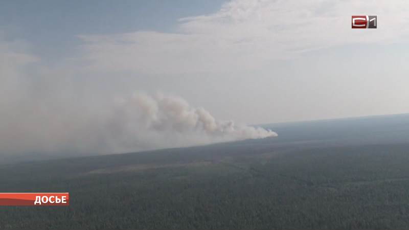 Число лесных пожаров в Сургутском районе возросло вдвое по сравнению с 2020