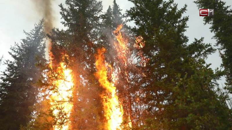 В Березовском районе Югры действует сразу 10 природных пожаров