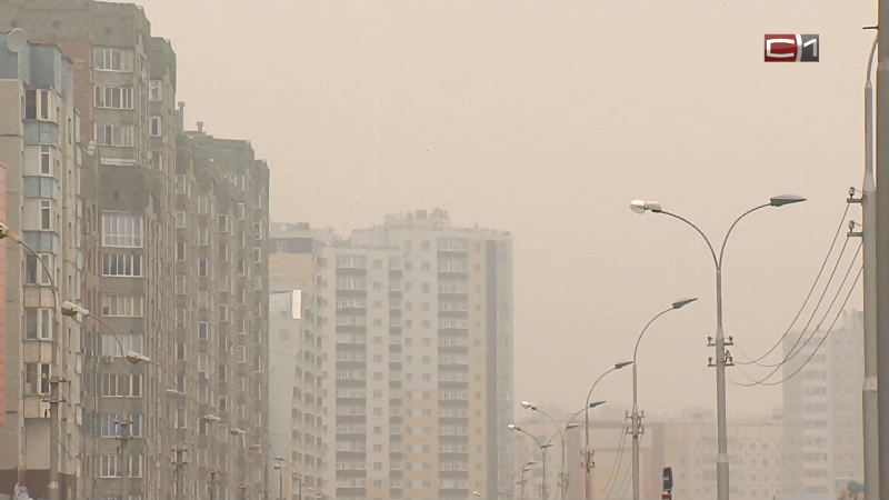Роспотребнадзор в Югре попросил полицию проверить фейки о загрязнении воздуха