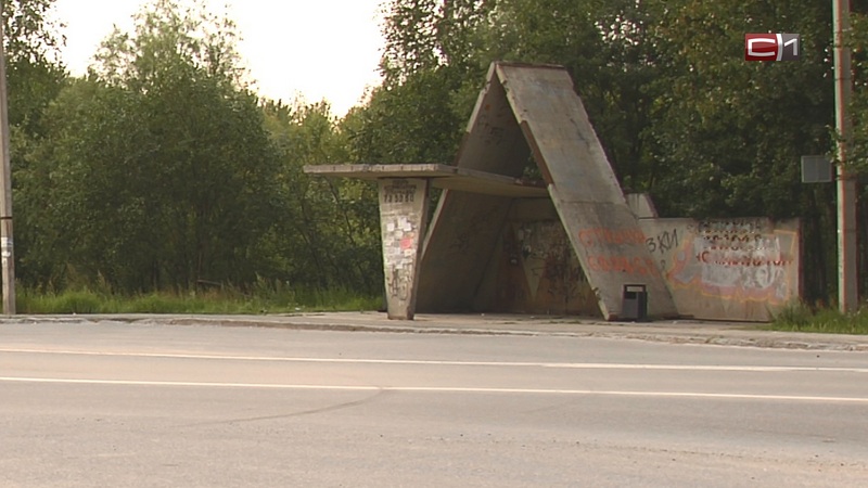 Под Сургутом  путь для дачников на автобусную остановку оказался небезопасным