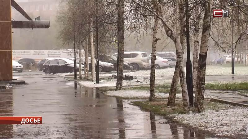 Синоптики рассказали, когда в Сургуте выпадет первый снег