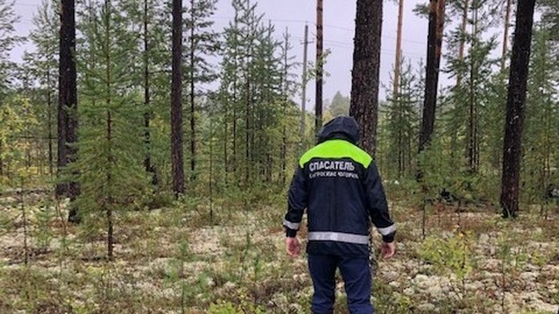 Спасатели вывели из леса в Югре двоих заблудившихся подростков