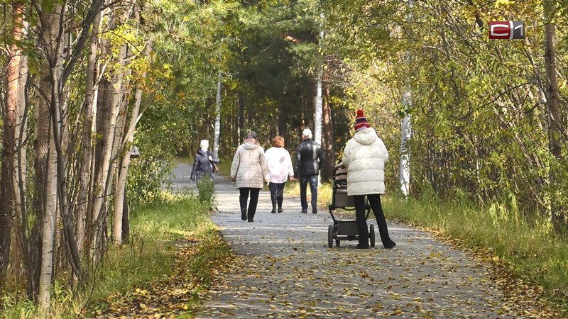 В сургутском парке «За Саймой» вырубают деревья — но паниковать рано
